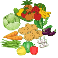 Vegetables and Fruits